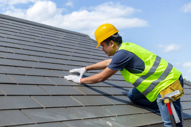 Best Roof Gutter Cleaning  in West Frankfort, IL