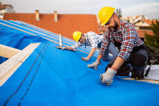 Best Flat Roof Repair Services  in West Frankfort, IL
