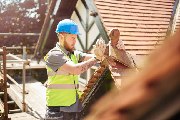 Best Storm Damage Roof Repair  in West Frankfort, IL